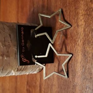 Nwt Star earrings